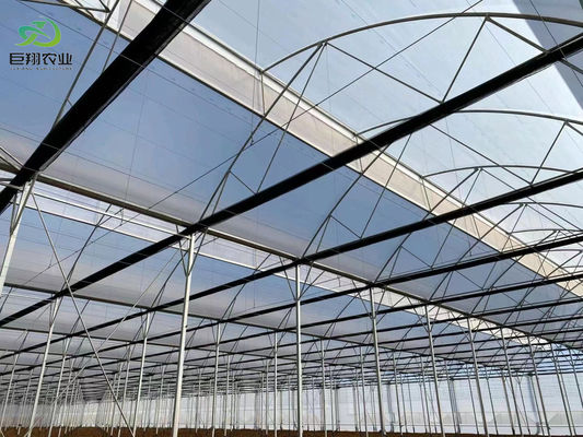 Juxiang Hydroponic Farm Film Gewächshaus mit Stahlkonstruktion und 30-Tage-Rückerstattung