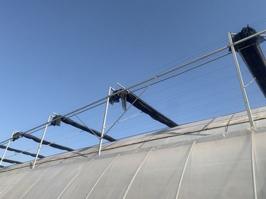 Stahlkonstruktion Mehrspannungs-hydroponisches Gewächshaussystem für nachhaltige Landwirtschaft