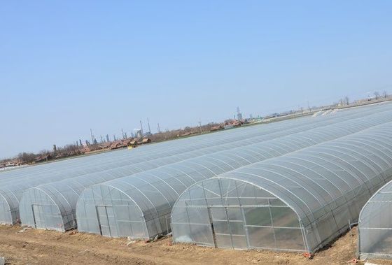 US-amerikanisches Gewächshaussystem für den Anbau von Gemüse und Blumen 30 Tage Rückerstattung