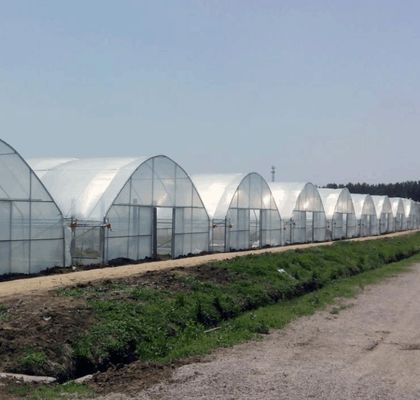 Mehrspannendes hydroponisches Gewächshaussystem für Produktion und kommerzielle Versuche