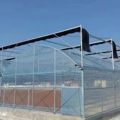 Juxiang Hydroponic Farm Film Gewächshaus mit kundenspezifischer Anfrage