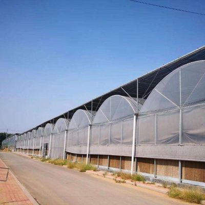 Juxiang Hydroponic Farm Film Gewächshaus mit kundenspezifischer Anfrage