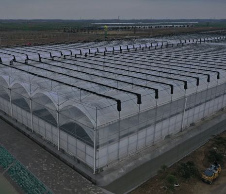 Juxiang Hydroponic Farm Film Gewächshaus mit kundenspezifischer Anfrage