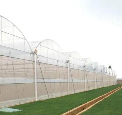 Juxiang Hydroponic Farm Film Gewächshaus mit kundenspezifischer Anfrage