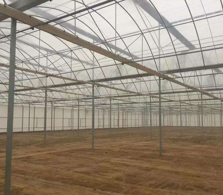 Juxiang Hydroponic Farm Film Gewächshaus mit kundenspezifischer Anfrage