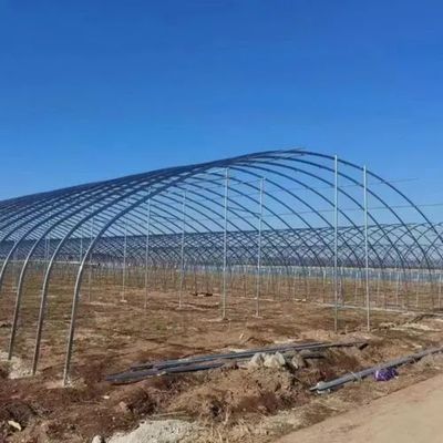 Hot-DIP galvanisierte Stahlrohre Landwirtschaftsfilm Hydropoinik Gewächshäuser Baustoff