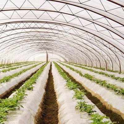 Anpassbares Hydroponisches System für Gemüse und Blumen, das auf Ihre Bedürfnisse zugeschnitten ist