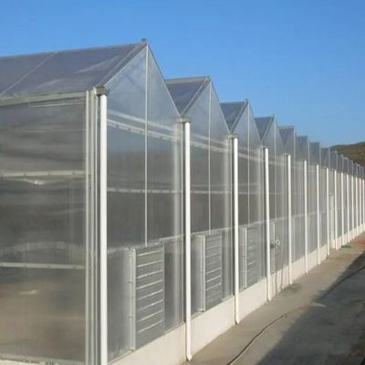 Anpassbares Hydroponisches System für Gemüse und Blumen, das auf Ihre Bedürfnisse zugeschnitten ist