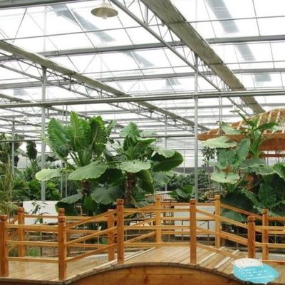 Juxiang Blatt PC Board Gewächshaus für Hydroponische Anbausysteme Erdbeere angepasst