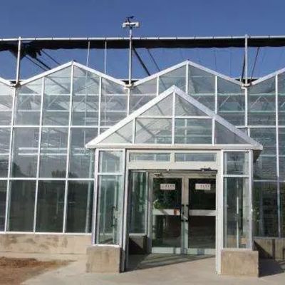 Juxiang Blatt PC Board Gewächshaus für Hydroponische Anbausysteme Erdbeere angepasst