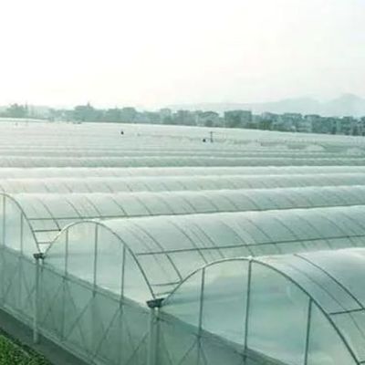 Juxiang Multi-Span Feuchtigkeitskontrolle Gewächshaus für Pfeffer Film Gewächshaus Abteilung