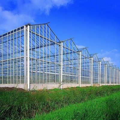 Hydroponisches Gemüseanbau Venlo-Glasgewächshaus mit Doppelschicht und Dachtyp