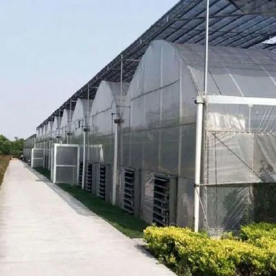 Mehrspannendes Juxiang-Hydroponisches System Feuchtigkeit Gewächshaus für Blumen Rückerstattung