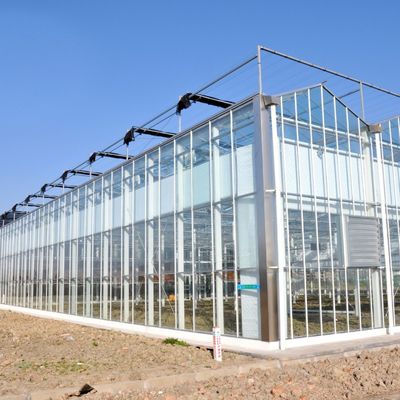 Warmwasserbeheizung Mehrspann-Säenglasgewächshaus für die Stromregelung in der Hydroponik