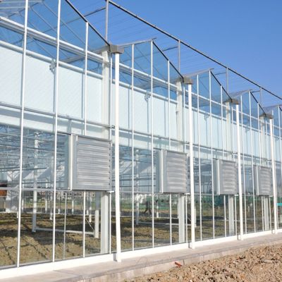 Warmwasserbeheizung Mehrspann-Säenglasgewächshaus für die Stromregelung in der Hydroponik