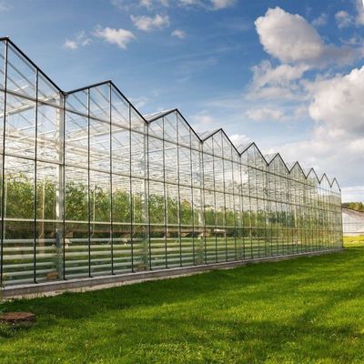 Gewächshaus für Wasserpflanzensysteme aus gehärtetem Glas