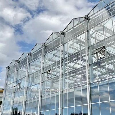 Gewächshaus für Wasserpflanzensysteme aus gehärtetem Glas