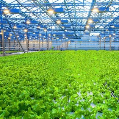 Gewächshaus für Wasserpflanzensysteme aus gehärtetem Glas