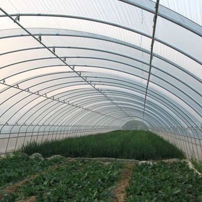 US-amerikanische Einbogen-Hydroponik-Gewächshaus für die Pfefferproduktion Paket Bruttogewicht 2000.000kg