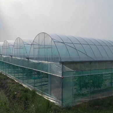 US-amerikanische Einbogen-Hydroponik-Gewächshaus für die Pfefferproduktion Paket Bruttogewicht 2000.000kg