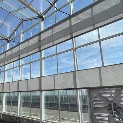 Gewächshäuser mit mehreren Spannweiten, mit kontrollierter Luftfeuchtigkeit, für hydroponische Sämlinge im Venlo-Stil