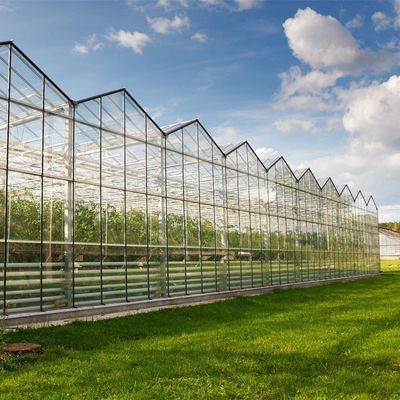 Gewächshäuser mit mehreren Spannweiten, mit kontrollierter Luftfeuchtigkeit, für hydroponische Sämlinge im Venlo-Stil