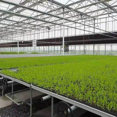 Gewächshäuser mit mehreren Spannweiten, mit kontrollierter Luftfeuchtigkeit, für hydroponische Sämlinge im Venlo-Stil