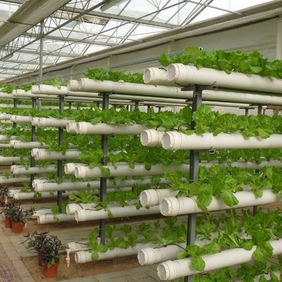 Gewächshäuser mit mehreren Spannweiten, mit kontrollierter Luftfeuchtigkeit, für hydroponische Sämlinge im Venlo-Stil