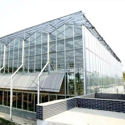 Herkunft Gemüse und Blumen Glas Gewächshaus mit Hydroponik Anbaumethode