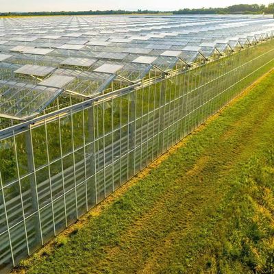Herkunft Gemüse und Blumen Glas Gewächshaus mit Hydroponik Anbaumethode