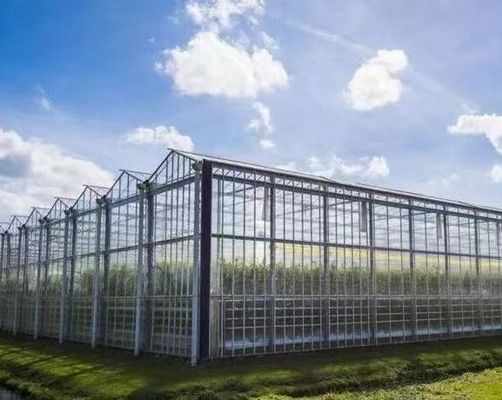 Herkunft Gemüse und Blumen Glas Gewächshaus mit Hydroponik Anbaumethode