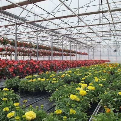 2000.000kg Paket Bruttogewicht Tröpfchenverstopfungsfolie Gewächshaus für den Gemüseanbau