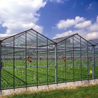 Umweltfreundliche Anpassung von Mehrspannglas-Gewächshäusern und geschätzte Lieferzeit