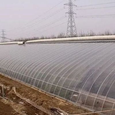 1209cm * 235cm * 239cm Paketgröße Gewächshaus für Tomaten- und Gurkenfarmen Vollzahlung