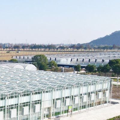 Mehrfunktionsglasgewächshaus für maßgeschneiderte Aquaponik-Gemüseanbaulösungen