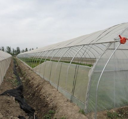 Erste Zahlung Große Pfeffer und Blüten Hydroponik mit Film Gewächshaus Vollzahlung