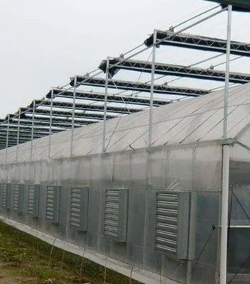 Erste Zahlung Große Pfeffer und Blüten Hydroponik mit Film Gewächshaus Vollzahlung