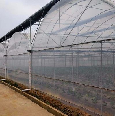 Erste Zahlung Große Pfeffer und Blüten Hydroponik mit Film Gewächshaus Vollzahlung