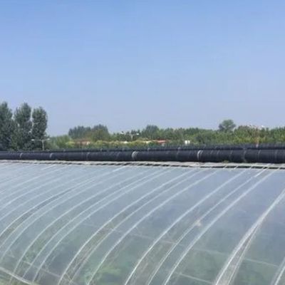Anpassung Option Juxiang Hydroponisches System Gemüseanbau Film Gewächshaus