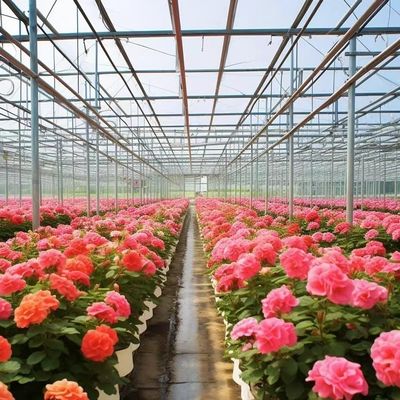 Glas Gewächshaus mit Hydroponik Anbau kundenspezifische Anforderung Dachform A-Typ Dach