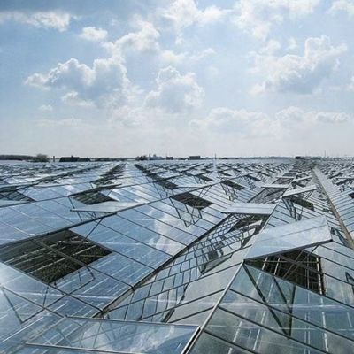 Glas Gewächshaus mit Hydroponik Anbau kundenspezifische Anforderung Dachform A-Typ Dach