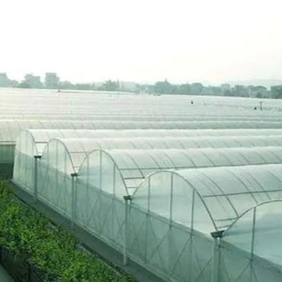 Anpassung Option Juxiang Hydroponisches System Gemüseanbau Film Gewächshaus