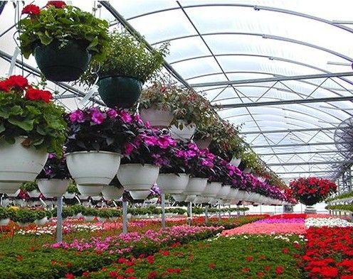 Gewächshaus für den Hydrokulturmarkt für den Hydroponischen Tomatenanbau mit mehreren Spannen und einer einzigen Pfanne