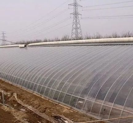Gewächshaus für den Hydrokulturmarkt für den Hydroponischen Tomatenanbau mit mehreren Spannen und einer einzigen Pfanne