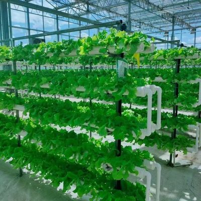 Hydroponisches Glas Gewächshaus für Blumen Versandkosten und geschätzte Lieferzeit