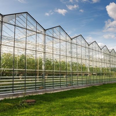 Glasgewächshaus mit Hydroponik-Anbausystem
