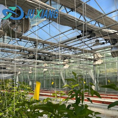 Glasgewächshaus mit Hydroponik-Anbausystem