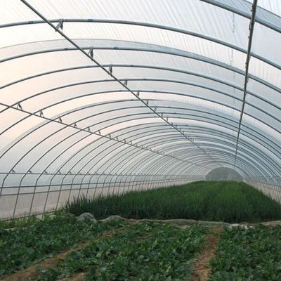 Anpassbares Doppelfilm-Hydroponisches System für die Pfefferproduktion