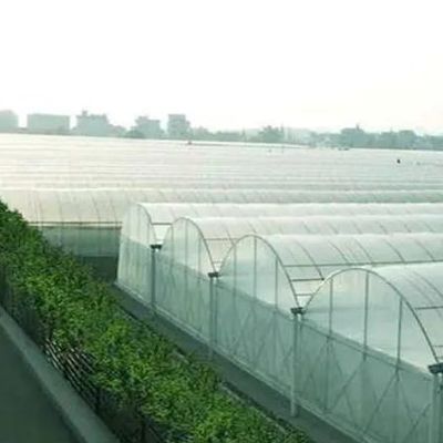 Anpassbares Doppelfilm-Hydroponisches System für die Pfefferproduktion