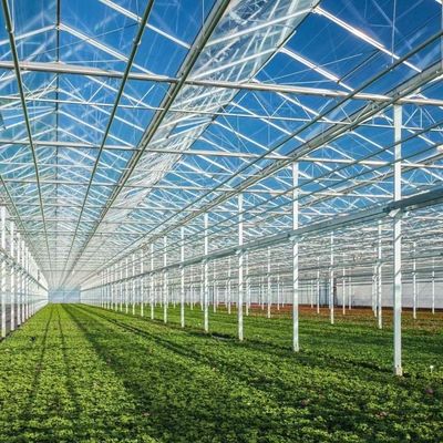 Venlo-Glasgewächshaus für GemüseDachform und -Typ 30 TageRückerstattung
